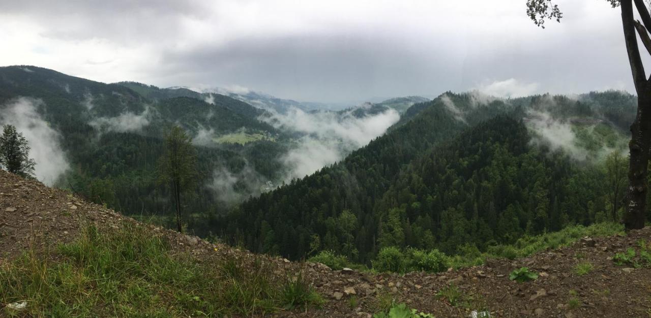 Ніч Над Карпатами Hotel Slavske Buitenkant foto
