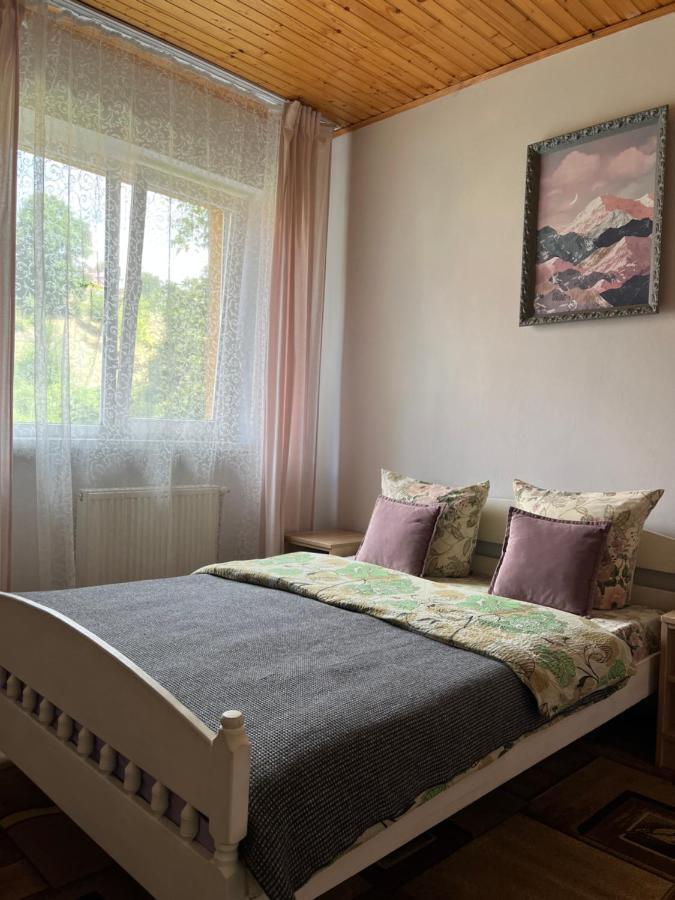 Ніч Над Карпатами Hotel Slavske Buitenkant foto